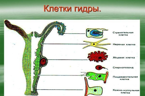 Kraken 13 at ссылка