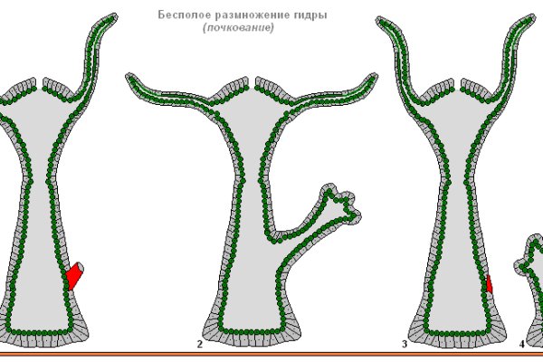 Kraken ссылка зеркало рабочее