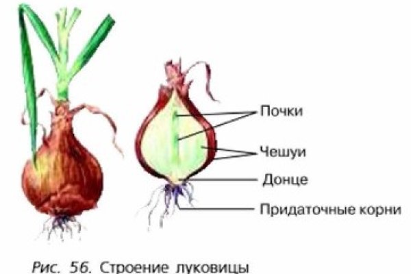 Как зайти на кракен через айфон